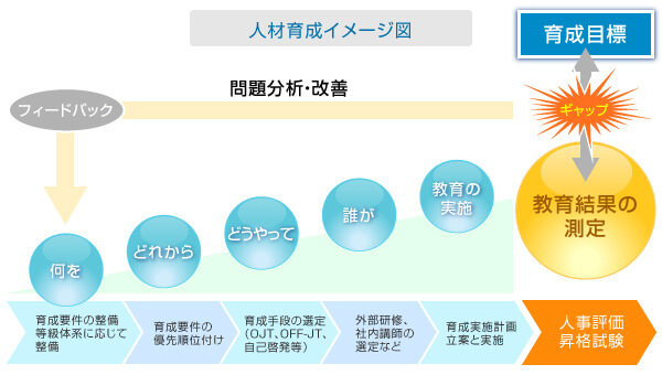 人材育成イメージ図