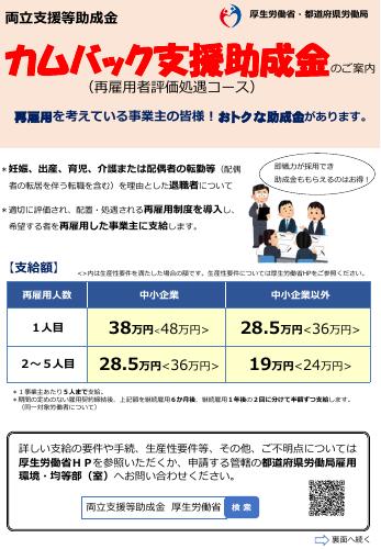 厚生労働省リーフレット「カムバック助成金のご案内」
